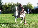 jezdci na koních